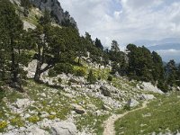 F, Isere, Gresse-en-Vercors, Pas de la Selle 11, Saxifraga-Willem van Kruijsbergen